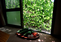 緑のカーテン揺れる家、環境の達人のエコリフォーム